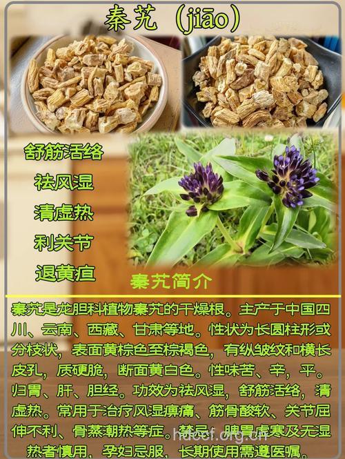 大一面镙的功效与作用