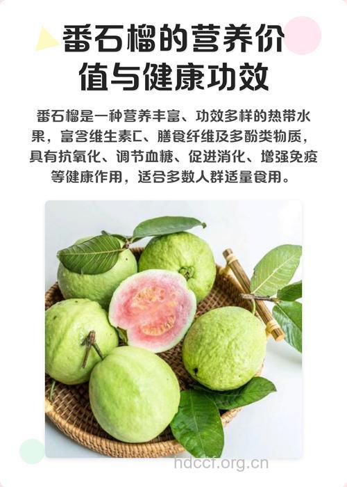 番石榴子的功效与作用