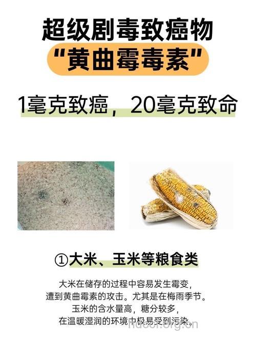 关于致癌物质有哪些真相