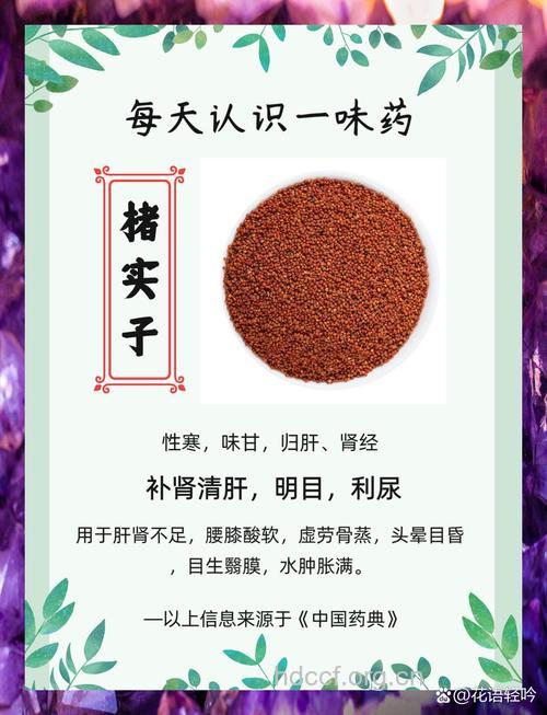 楮实子的功效与作用