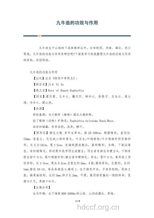 九牛造的功效与作用