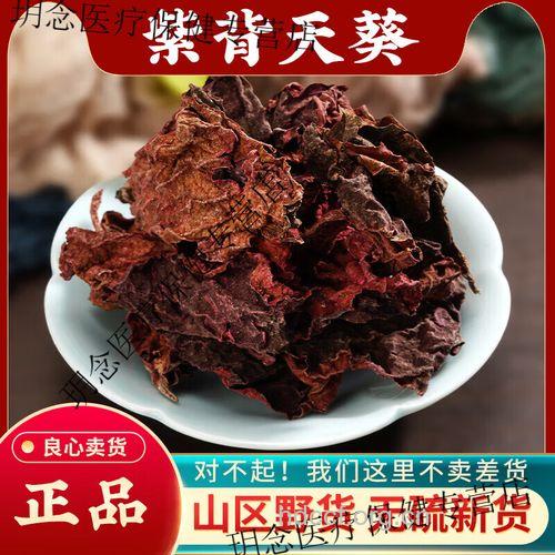 红天葵的功效与作用