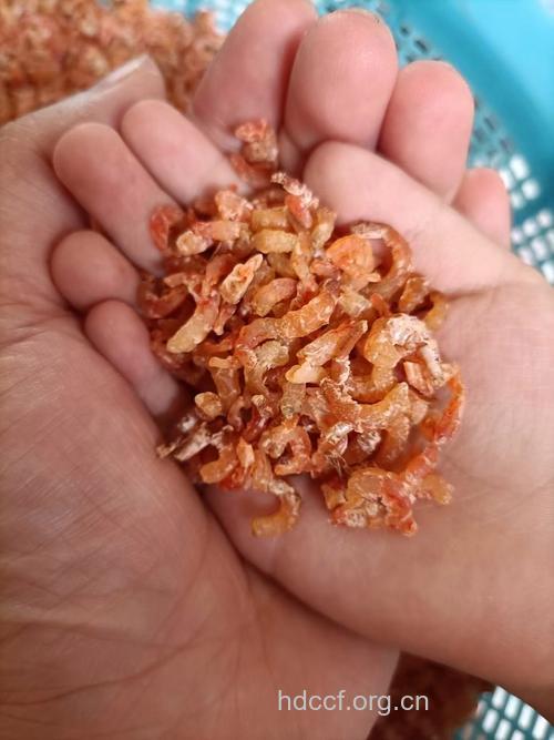 颜色太鲜艳的虾米小心会致癌