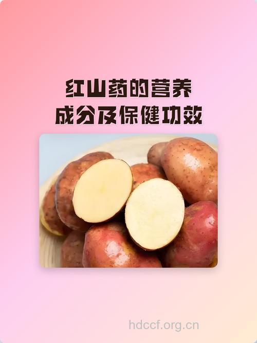 红山药的功效与作用