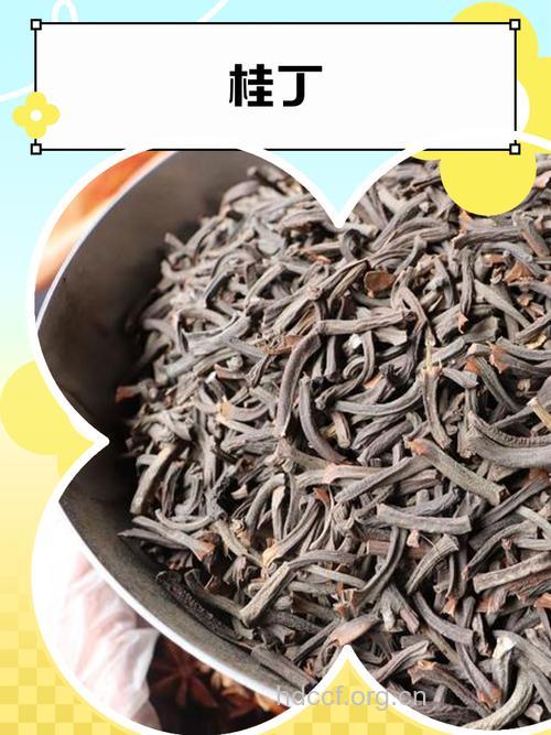 桂丁的功效与作用