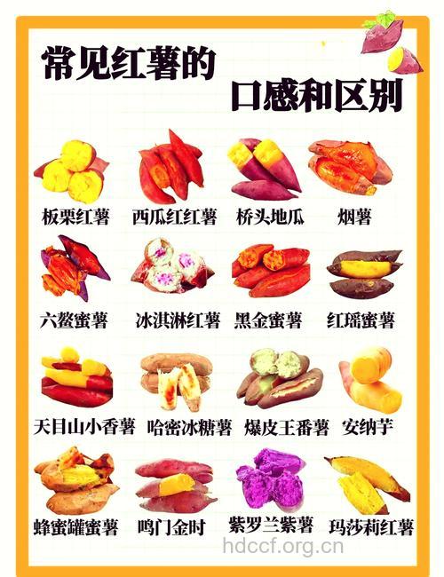 红薯保持血糖 糖尿病患者适合吃九种食物