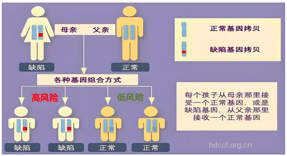 癌症会不会遗传