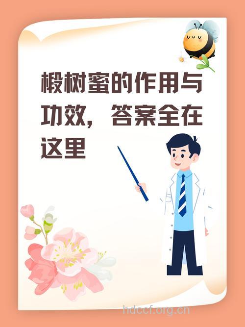 椴树的功效与作用