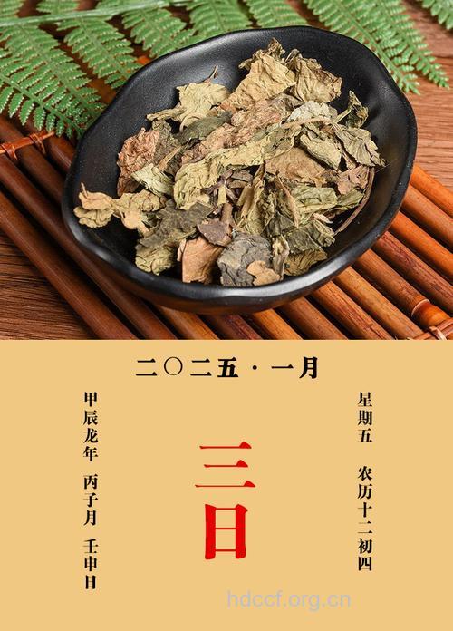腐婢根的功效与作用
