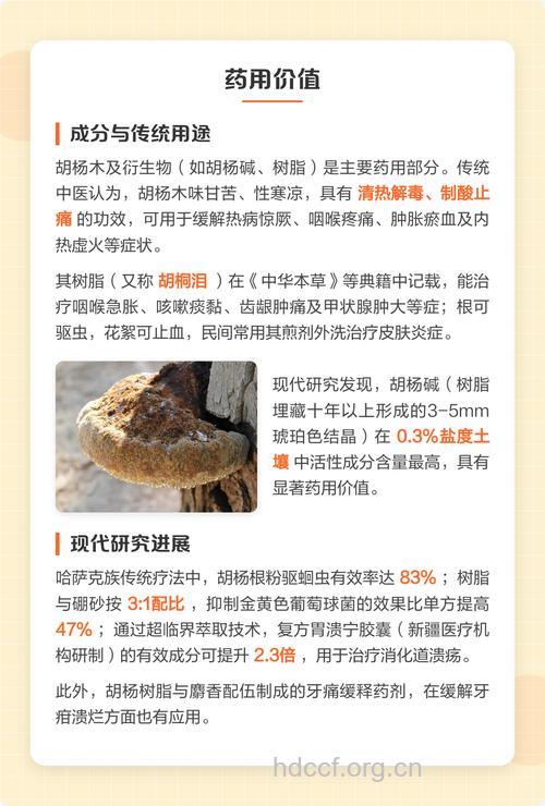 胡杨的功效与作用