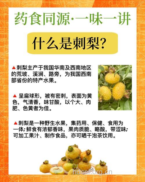 刺梨子的功效与作用