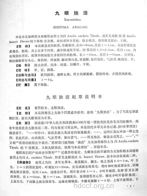 九眼独活的功效与作用