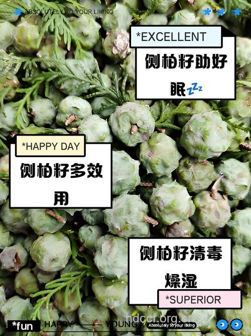 侧子的功效与作用