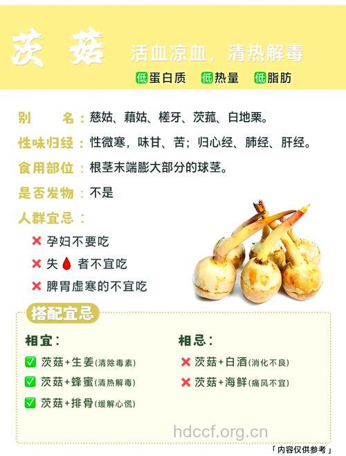 慈姑的功效与作用