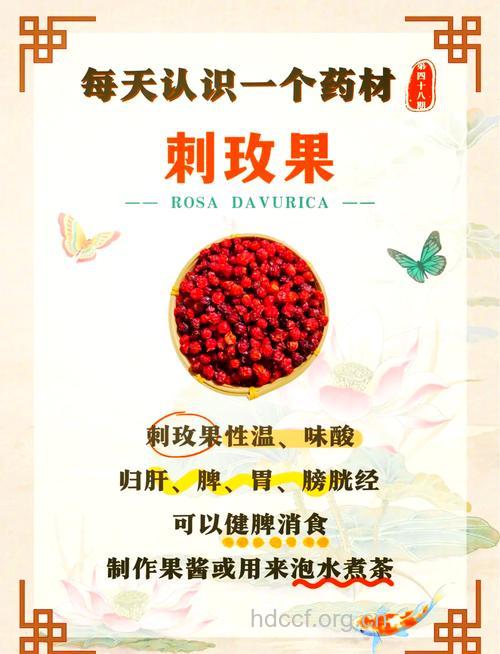 刺玫的功效与作用