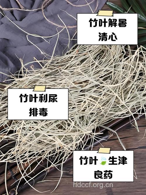 慈竹叶的功效与作用