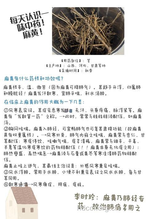 川麻黄的功效与作用