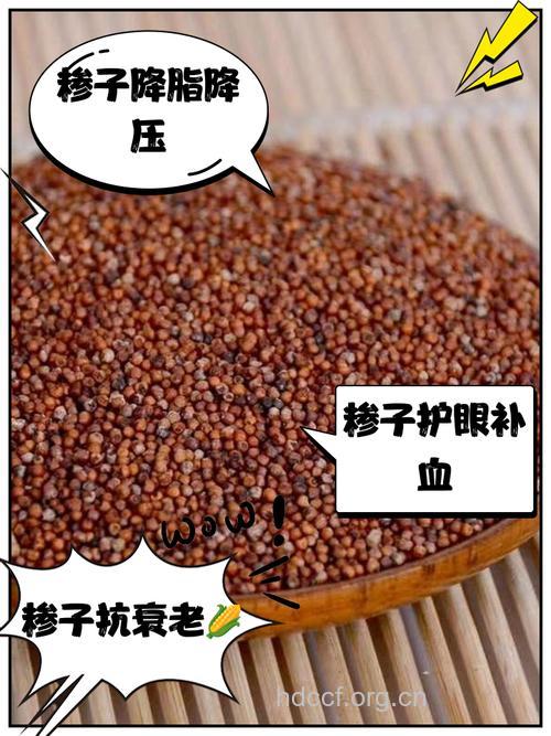 红椋子的功效与作用