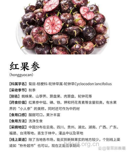 红果参的功效与作用
