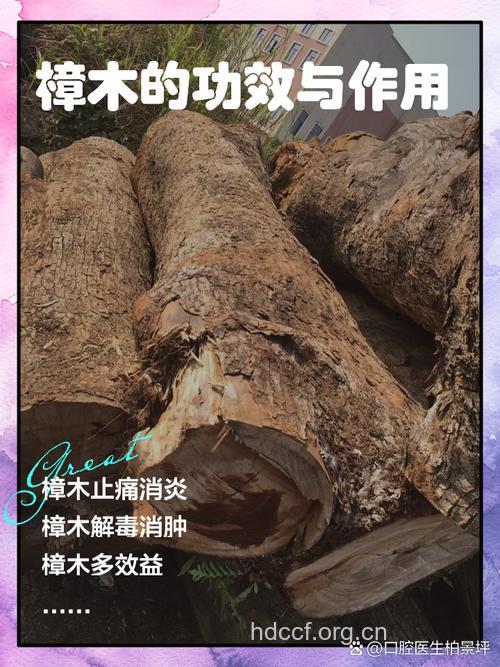 狗爪樟的功效与作用