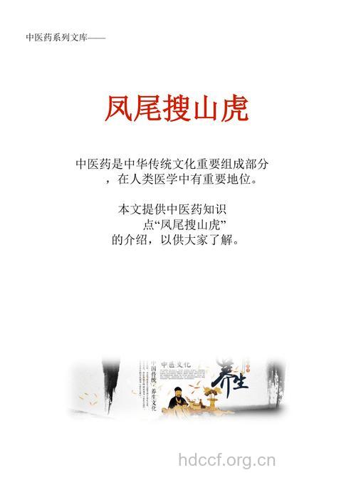 凤尾搜山虎的功效与作用