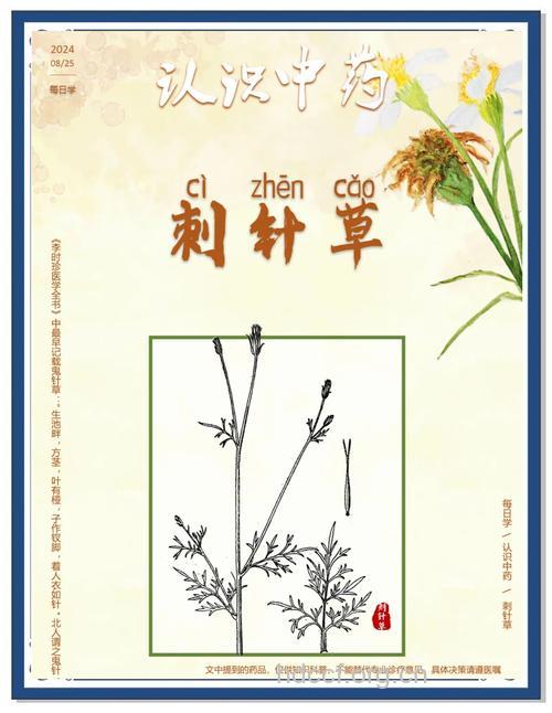 刺针草的功效与作用