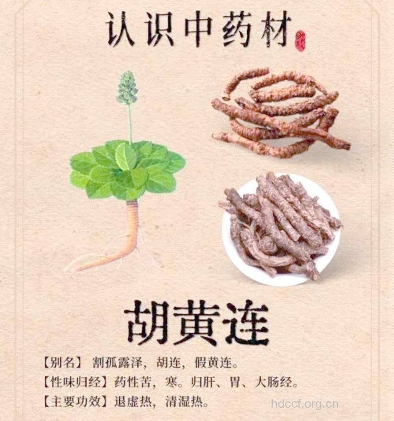 胡莲的功效与作用