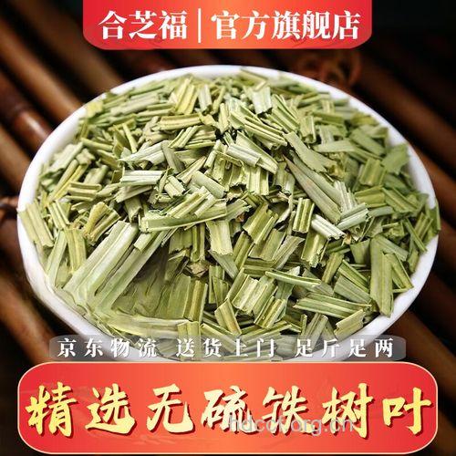 凤尾蕉叶的功效与作用