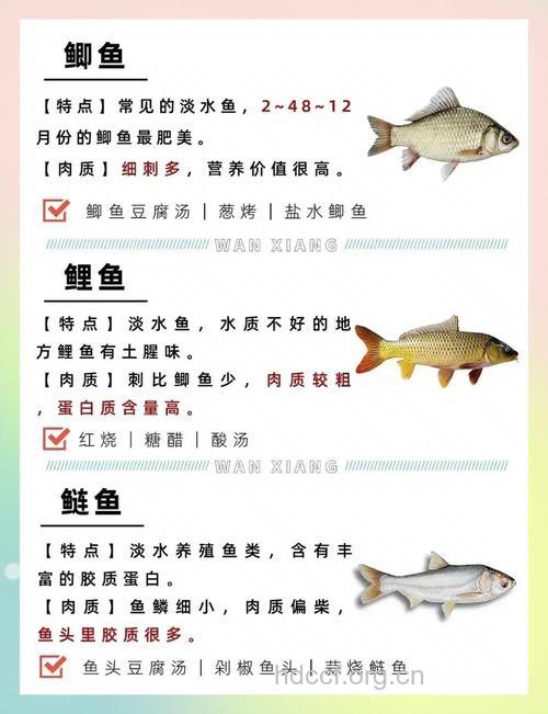 鱼这样吃有害健康