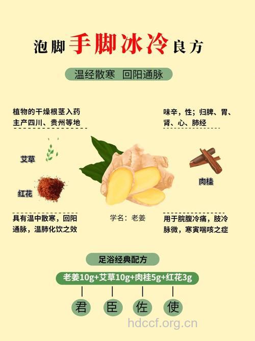 治疗手脚冰凉的食疗偏方
