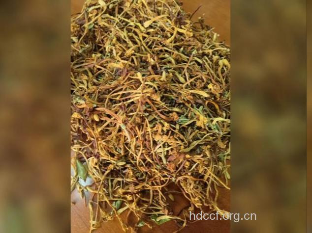 中医中药治疗小儿水痘