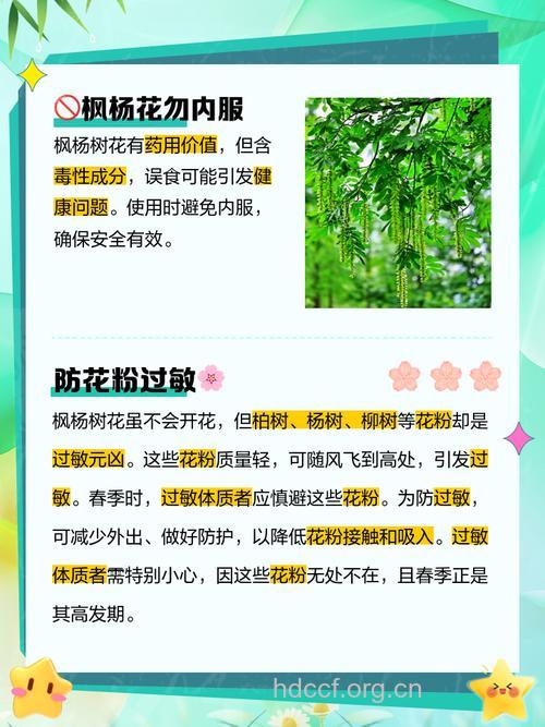 枫杨的功效与作用
