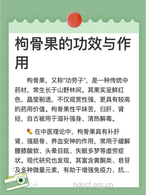 功劳子的功效与作用