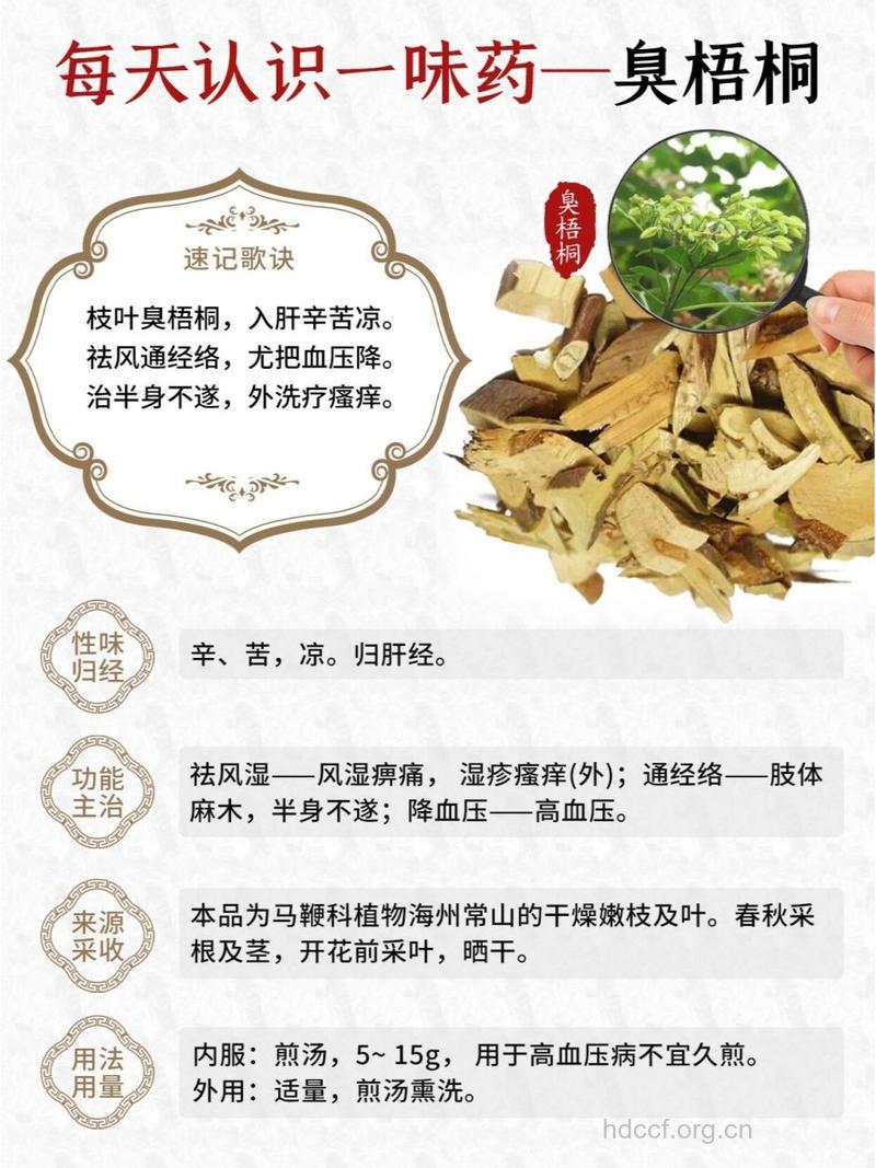 臭常山的功效与作用
