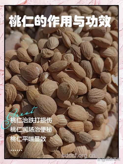 胡桃仁的功效与作用