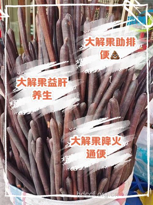 大串联果的功效与作用