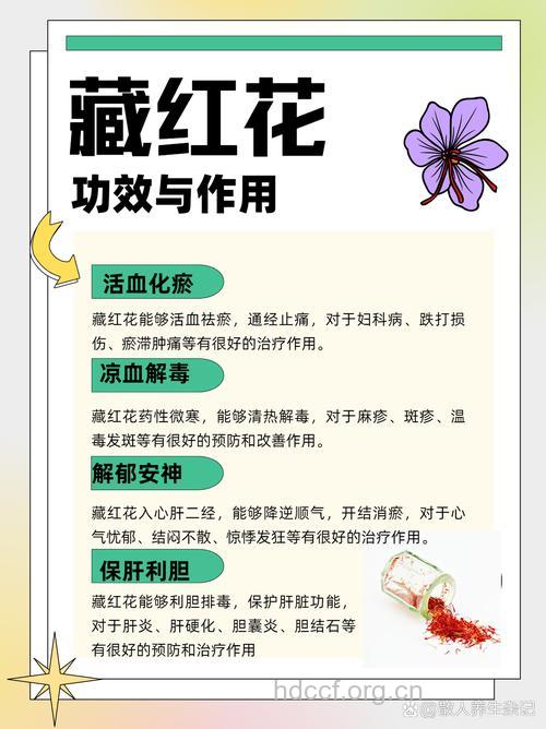 大毛红花的功效与作用