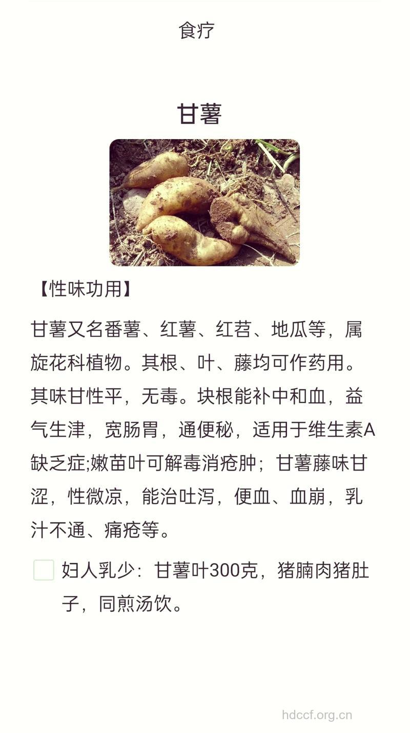 甘薯的功效与作用