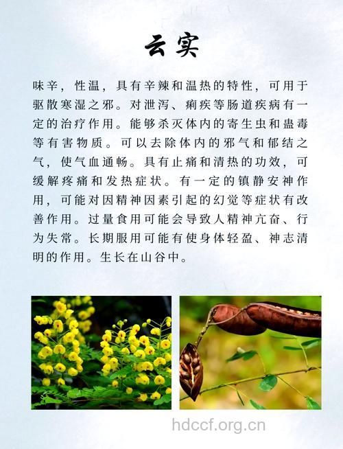 大叶云实的功效与作用