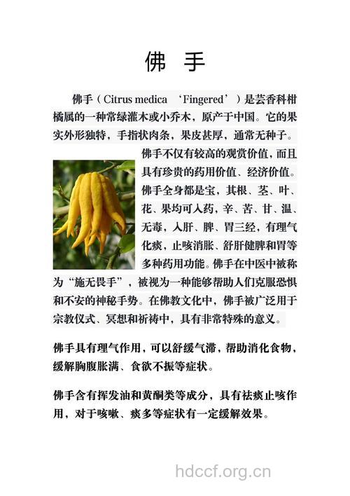 佛手柑根的功效与作用