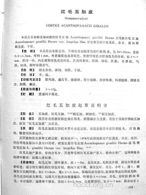 红毛五加皮的功效与作用