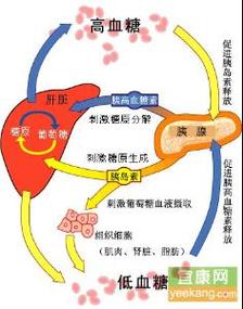 暴发性1型糖尿病是什么 1型糖尿病新亚型