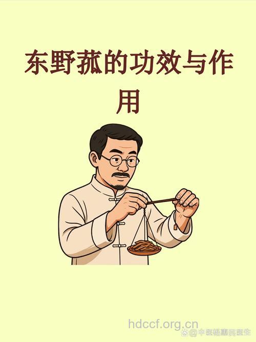 东野菰的功效与作用