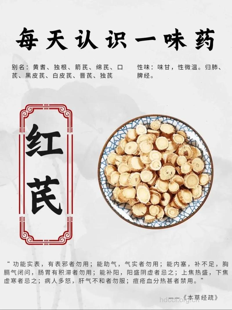 红花岩黄芪的功效与作用