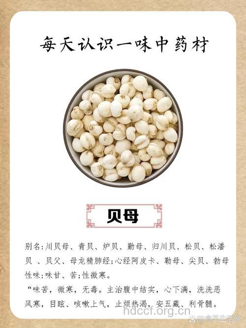 草贝母的功效与作用