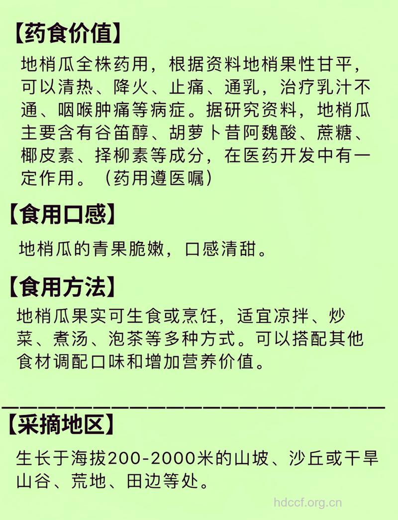 地梢瓜的功效与作用