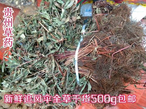贵州追风散的功效与作用