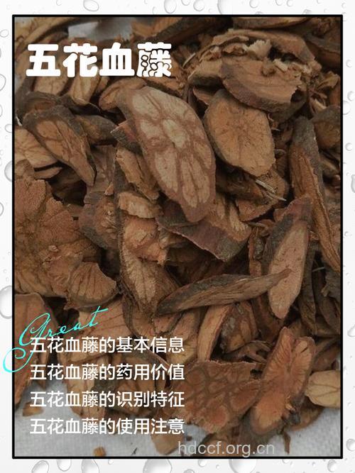 花血藤的功效与作用