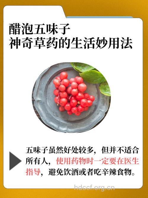 醋林子的功效与作用