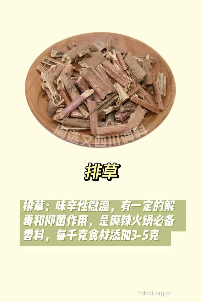 福建排草的功效与作用